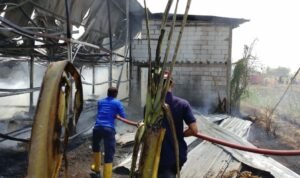 Foto : Kebakaran kandang ayam di Desa Jimbaran, Kecamatan Kayen Kabupaten Pati. (Dok. Damkar Satpol PP Pati)
