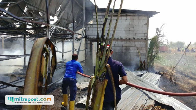 Foto : Kebakaran kandang ayam di Desa Jimbaran, Kecamatan Kayen Kabupaten Pati. (Dok. Damkar Satpol PP Pati)