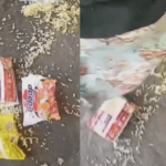 Viral Warga Injak Bantuan Gempa Flores /tangkap layar