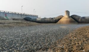Foto : Ikan sapu-sapu di Bendung Karet sungai Juana, Senin (02/09/2026). (Sumber. Mitrapost.com/ Ilham)