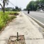 Foto : Kondisi pohon yang dilakukan pemotongan oleh penyedia jasa rehabilitasi Jalan Panglima Sudirman tepat depan Plaza Pragolo Pati. (Sumber. Mitrapost.com/ Ilham)