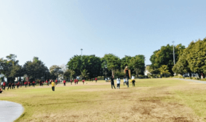 Rumput dan Tanaman di Alun-alun Kering Usai Perayaan Hari Jadi Pati, Ini Tanggapan DLH