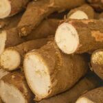 Harga Singkong di Petani Jadi Rp3 Ribu per Kg Setelah Tutup Impor, RI Berpeluang Ekspor