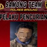 Petani Asal Madura Diduga Lakukan Pencabulan-Perampasan Ponsel Milik WNA Polandia di Bali