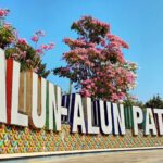 Bunga Tabebuya Mekar di Alun-alun, Pemkab Pati Siapkan Bibit Gratis Bunga Tabebuya Mekar di Alun-alun, Pemkab Pati Siapkan Bibit Gratis