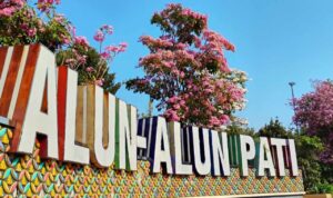 Bunga Tabebuya Mekar di Alun-alun, Pemkab Pati Siapkan Bibit Gratis