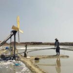 Foto : Lahan produksi garam di Kabupaten Pati. (Sumber. Mitrapost.com/ Ilham)