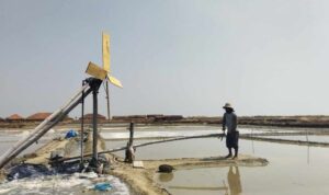 Foto : Lahan produksi garam di Kabupaten Pati. (Sumber. Mitrapost.com/ Ilham)