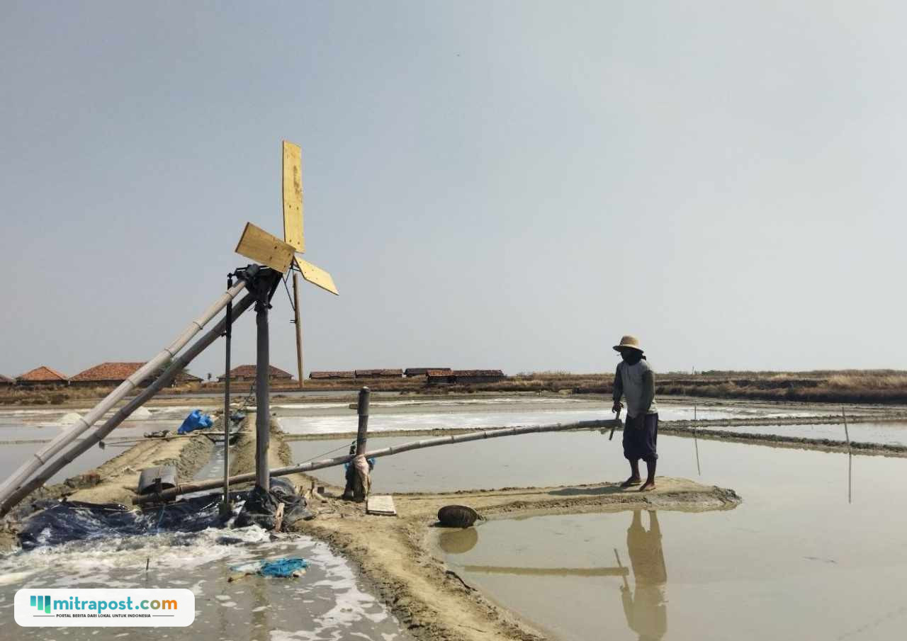 Foto : Lahan produksi garam di Kabupaten Pati. (Sumber. Mitrapost.com/ Ilham)