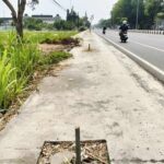 Foto : Pohon di Jalan Panglima Sudirman terlihat dipotong, belum lama ini. (Sumber. Mitrapost.com/ Ilham)