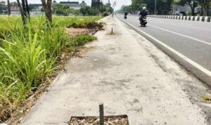 Foto : Pohon di Jalan Panglima Sudirman terlihat dipotong, belum lama ini. (Sumber. Mitrapost.com/ Ilham)