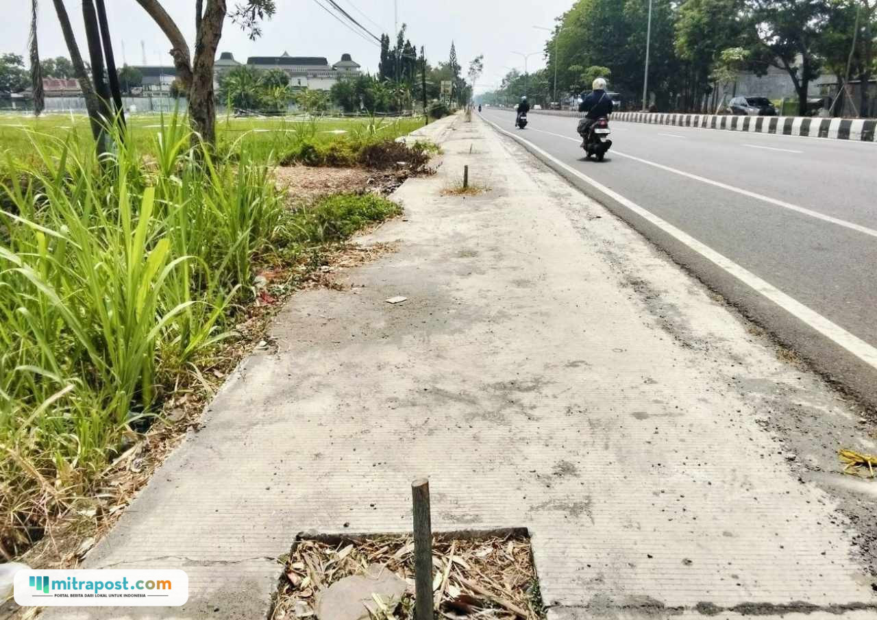 Foto : Pohon di Jalan Panglima Sudirman terlihat dipotong, belum lama ini. (Sumber. Mitrapost.com/ Ilham)