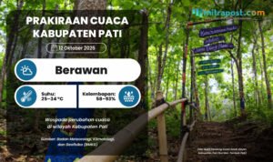 Prakiraan Cuaca Esok Hari di Pati Berawan, Sebagian Wilayah Udara Kabur