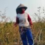 Foto : Rukayah menunjukkan lahan tanaman cabai miliknya mengering imbas musim kemarau. (Sumber. Mitrapost.com/ Ilham)