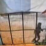 Viral Sekelompok Orang Rusak Pagar Kedai Kopi di Bandung, Diduga Dendam/tangkap layar Viral Sekelompok Orang Rusak Pagar Kedai Kopi di Bandung, Diduga Dendam/tangkap layar