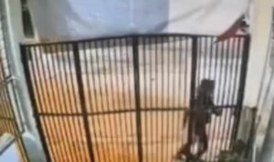 Viral Sekelompok Orang Rusak Pagar Kedai Kopi di Bandung, Diduga Dendam/tangkap layar