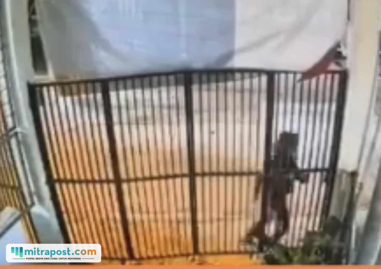 Viral Sekelompok Orang Rusak Pagar Kedai Kopi di Bandung, Diduga Dendam/tangkap layar