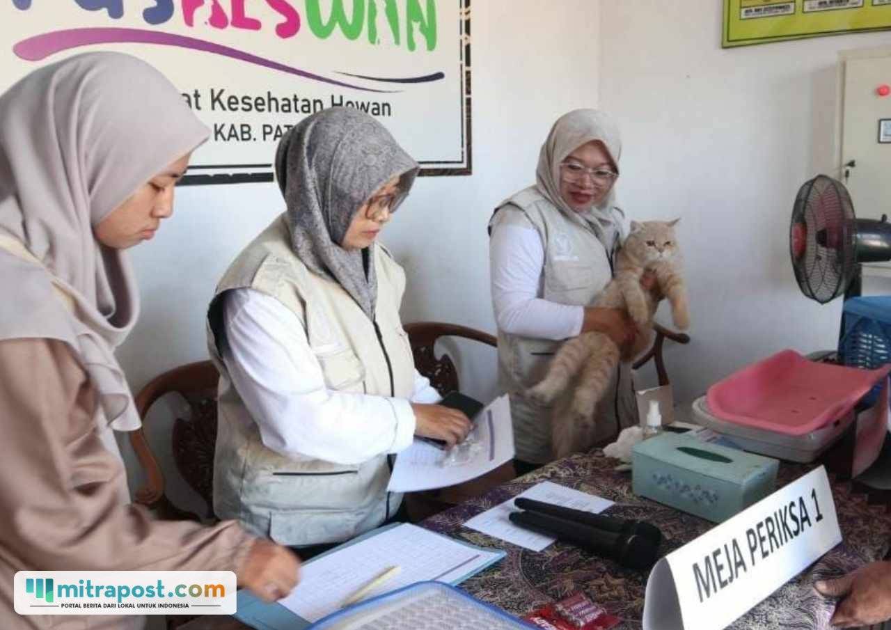 Foto : Pemberian vaksin terhadap hewan kucing di UPTD Puskeswan Pati, belum lama ini. (Dok. Dispertan Pati Bidang Peternakan)